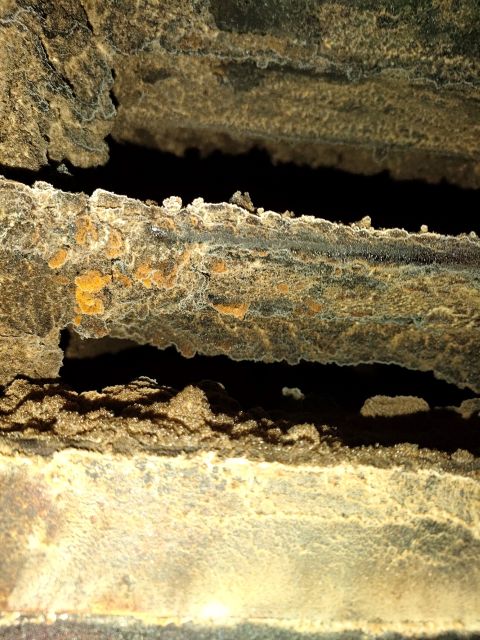防火ダンパーの汚れ具合から排気ファン内部も相当汚れていると推測