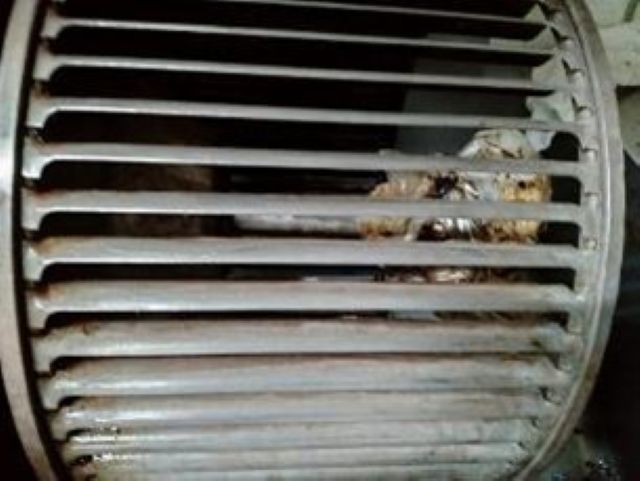 綺麗になった排気ファン内部